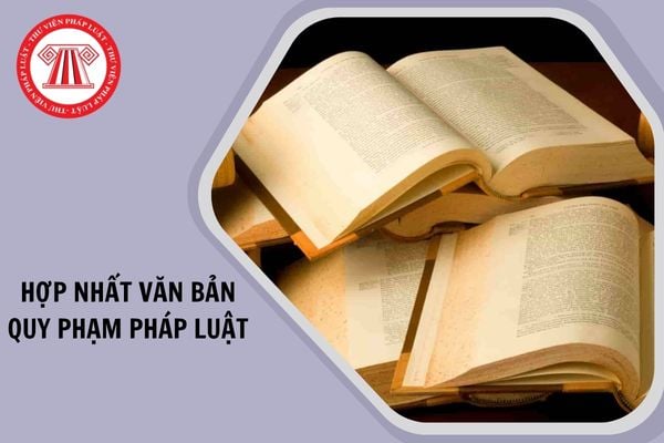 Hỏi đáp Pháp luật