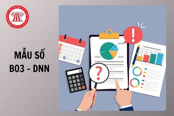 Mẫu số B03 DNN Báo cáo lưu chuyển tiền tệ năm theo Thông tư 99 có dạng ra sao?