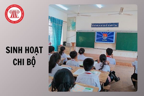 Hỏi đáp Pháp luật