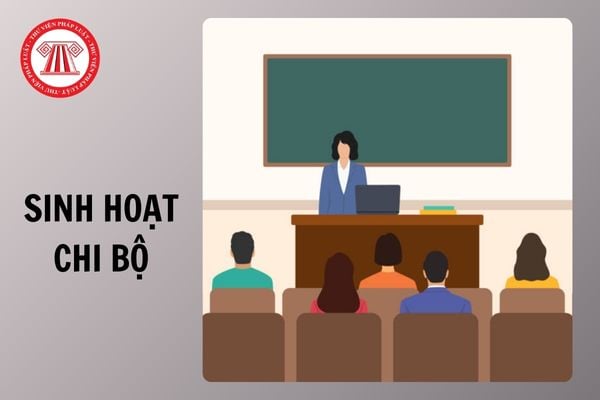 Hỏi đáp Pháp luật