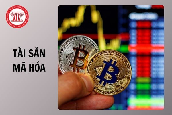 Toàn văn Dự thảo Nghị định quy định xử phạt vi phạm hành chính trong lĩnh vực tài sản mã hóa và thị trường tài sản mã hóa ra sao?