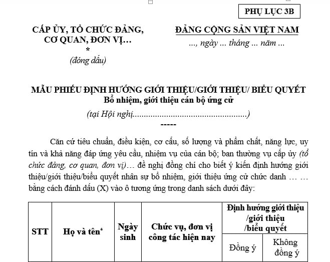 Mẫu phiếu định hướng giới thiệu/biểu quyết bổ nhiệm, giới thiệu cán bộ ứng cử theo Phụ lục 3B Hướng dẫn 45 có dạng ra sao?
