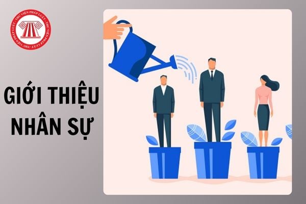Hỏi đáp Pháp luật