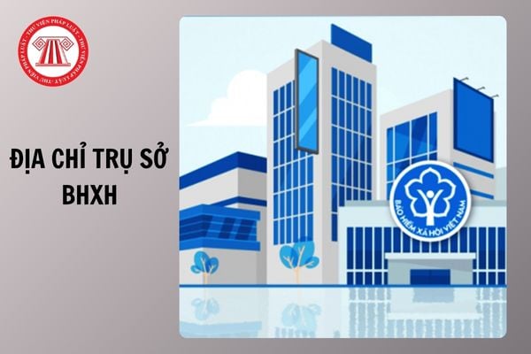 Hỏi đáp Pháp luật