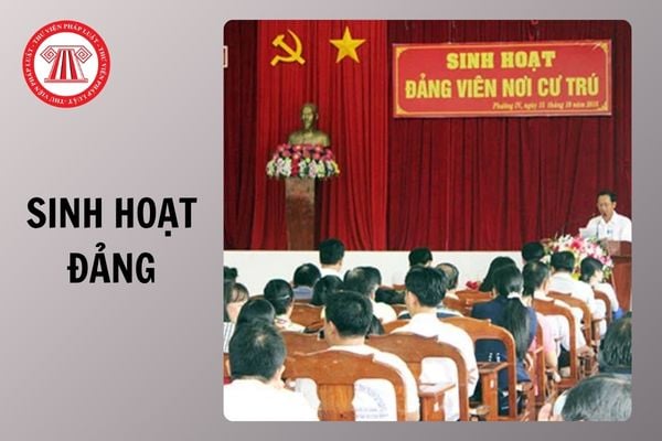 Hỏi đáp Pháp luật