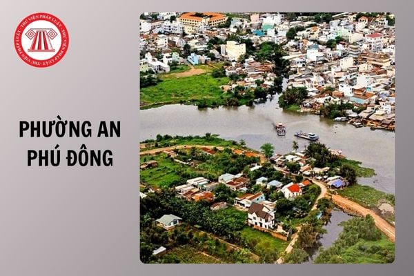 Hỏi đáp Pháp luật