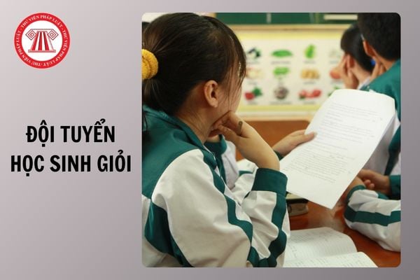 Hỏi đáp Pháp luật