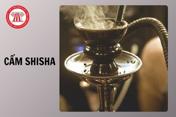 Việt Nam chính thức cấm shisha từ 01/1/2025 đúng không?