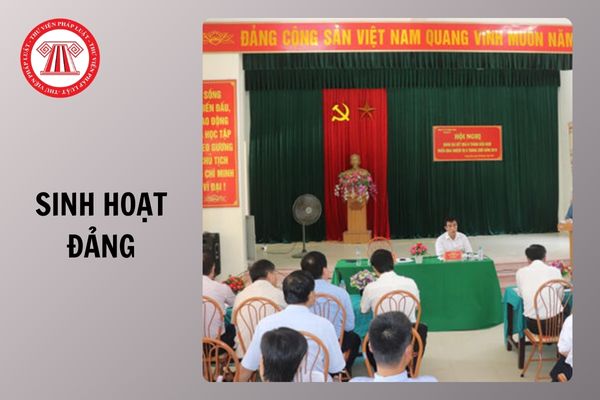 Hỏi đáp Pháp luật