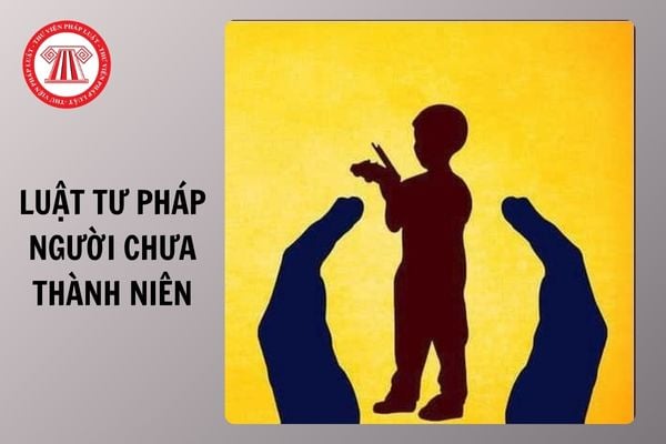 Toàn văn Quyết định 1089 QĐ TTg 2025 về việc ban hành Kế hoạch triển khai thi hành Luật Tư pháp người chưa thành niên ra sao?