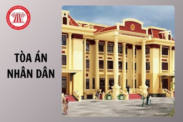 Hỏi đáp Pháp luật