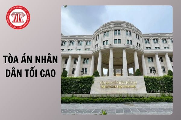 Hỏi đáp Pháp luật