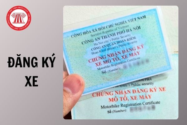 Hỏi đáp Pháp luật