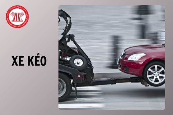 Hỏi đáp Pháp luật