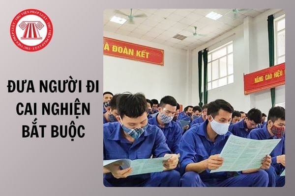 Hỏi đáp Pháp luật