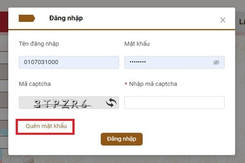 Hướng dẫn thay đổi mật khẩu khi quên mật khẩu trên Cổng thông tin điện tử của Tổng cục thuế như thế nào?