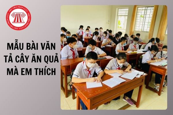 3 mẫu bài văn tả cây ăn quả mà em thích dành cho học sinh lớp 4?