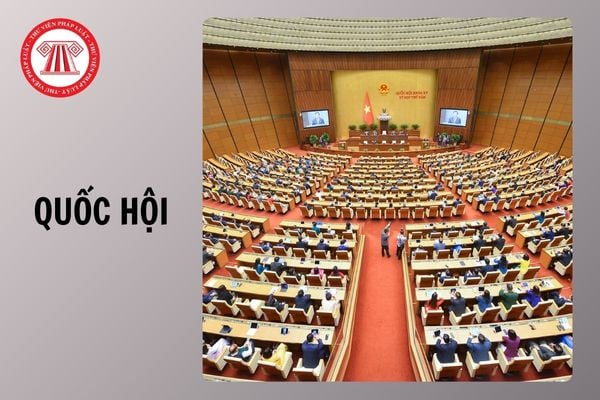 Hỏi đáp Pháp luật