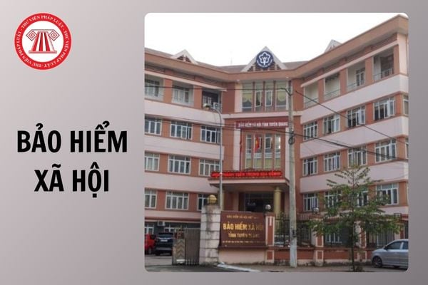 Hỏi đáp Pháp luật