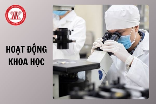 Hỏi đáp Pháp luật