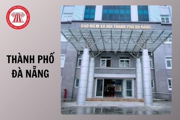 Hỏi đáp Pháp luật