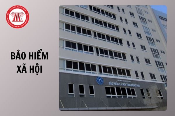 Hỏi đáp Pháp luật