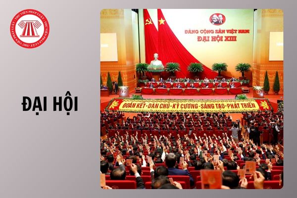 Hỏi đáp Pháp luật