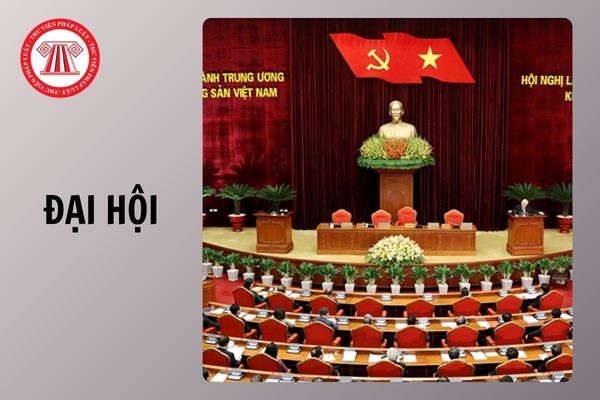 Hỏi đáp Pháp luật