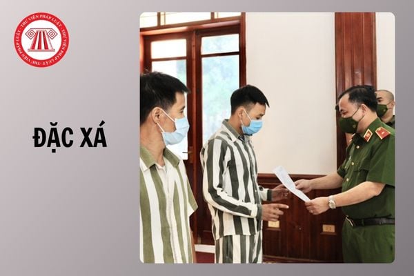 Hỏi đáp Pháp luật