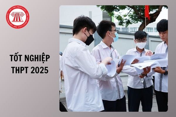 Full đáp án đề Tiếng Anh mã đề 110 thi tốt nghiệp THPT 2025 chi tiết như thế nào?
