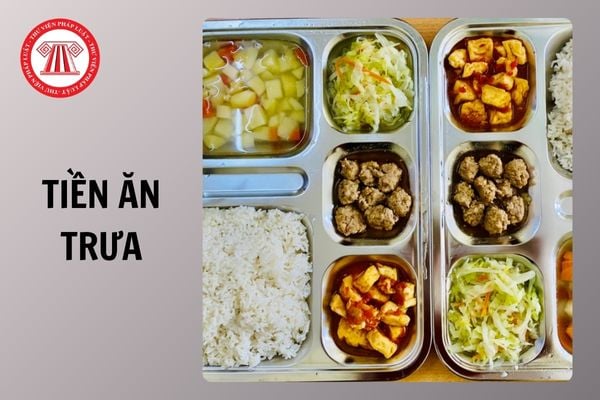 Hỏi đáp Pháp luật