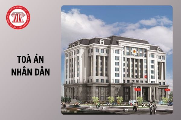 Hỏi đáp Pháp luật