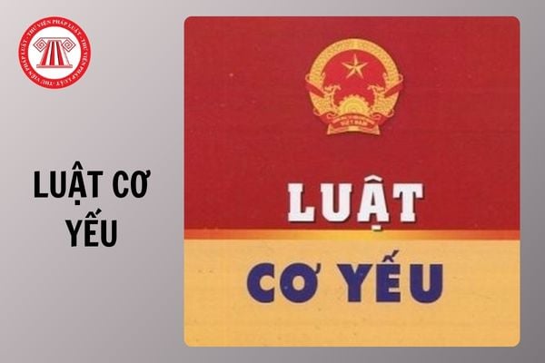 Hỏi đáp Pháp luật