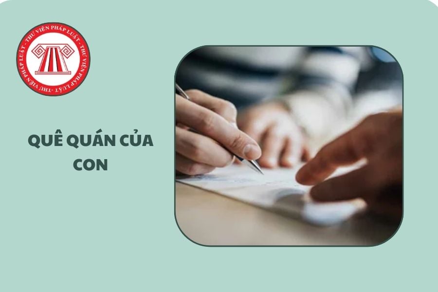 Hỏi đáp Pháp luật
