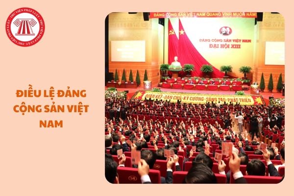 https://cdn.thuvienphapluat.vn//uploads/Hoidapphapluat/2025/NTKL/03022025/dieu-le-dang-cong-san-viet-nam.jpg