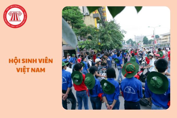 https://cdn.thuvienphapluat.vn//uploads/Hoidapphapluat/2025/NTKL/08012025/hoi-sinh-vien-viet-nam%20(1).jpg