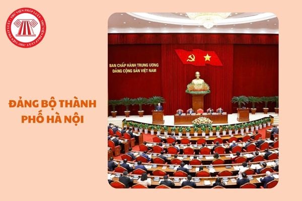 https://cdn.thuvienphapluat.vn//uploads/Hoidapphapluat/2025/NTKL/10032025/dang-bo-tp-ha-noi.jpg