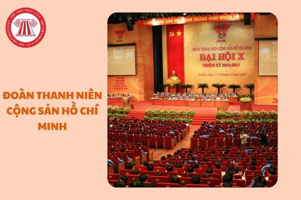 https://cdn.thuvienphapluat.vn//uploads/Hoidapphapluat/2025/NTKL/12032025/doan-tncs-ho-chi-minh%20(2).jpg