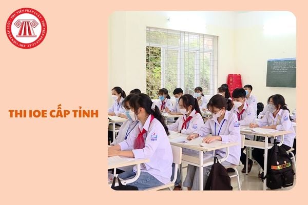 https://cdn.thuvienphapluat.vn//uploads/Hoidapphapluat/2025/NTKL/13012025/thi-ioe-cap-tinh.jpg