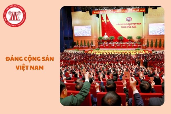 https://cdn.thuvienphapluat.vn//uploads/Hoidapphapluat/2025/NTKL/17012025/dang-cong-san-viet-nam%20(1).jpg