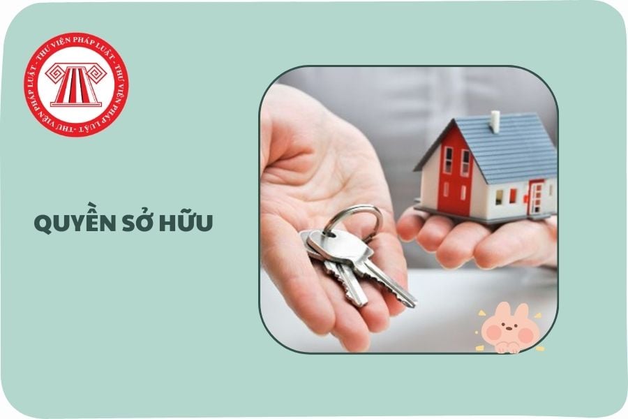 https://cdn.thuvienphapluat.vn//uploads/Hoidapphapluat/2025/NTKL/18042025/quyen-so-huu.jpg