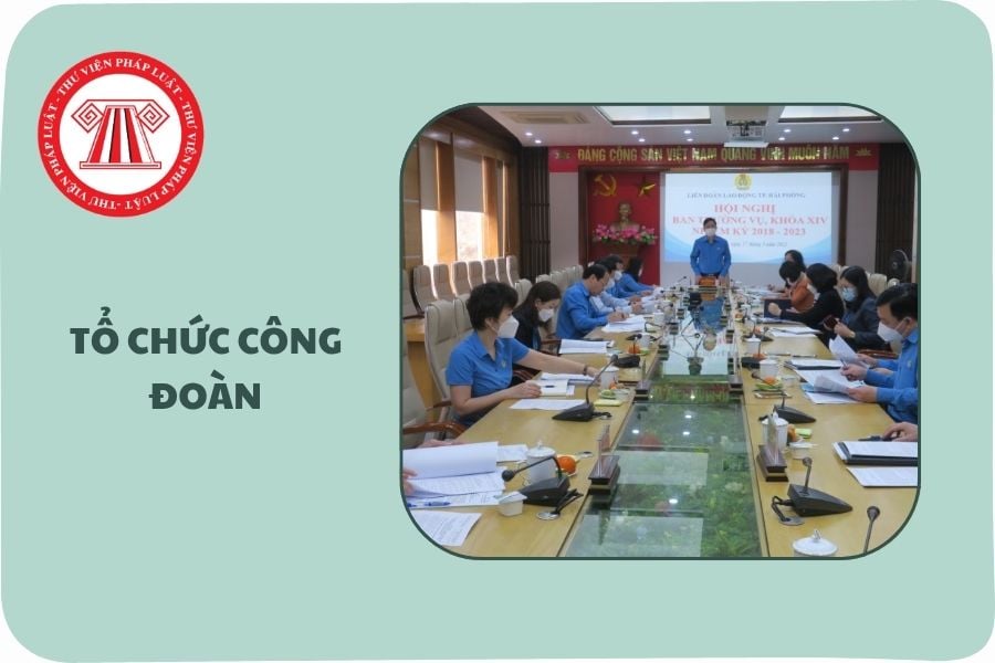 Hỏi đáp Pháp luật