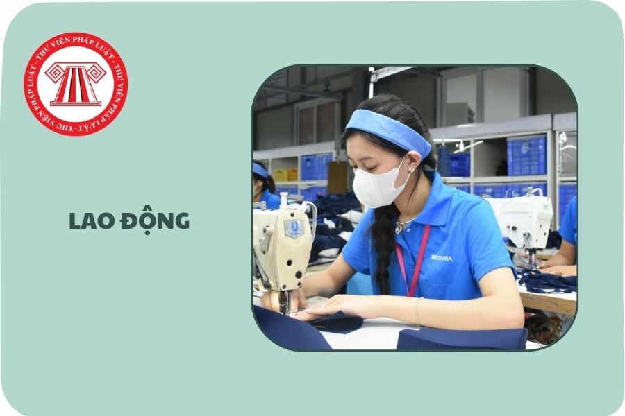 Hỏi đáp Pháp luật