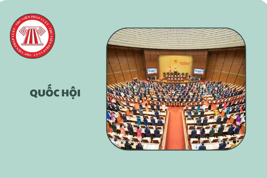 Hỏi đáp Pháp luật