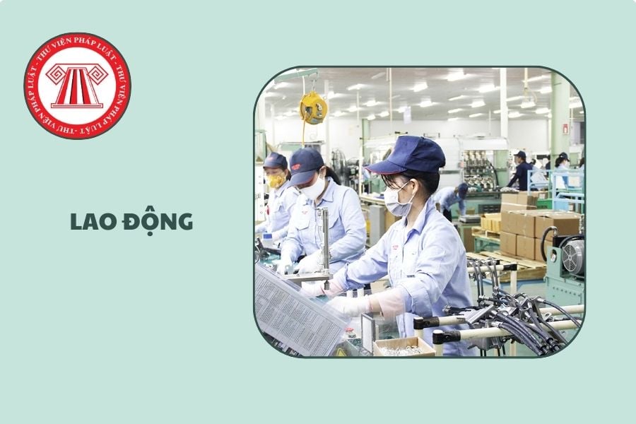 Lịch nộp các báo cáo lao động năm 2026 chi tiết thế nào?
