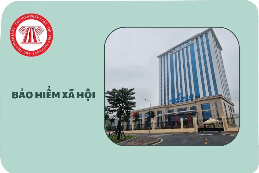 Hỏi đáp Pháp luật
