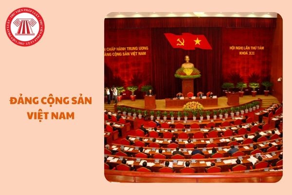 https://cdn.thuvienphapluat.vn//uploads/Hoidapphapluat/2025/NTKL/23012025/dang-cong-san-viet-nam%20(3).jpg