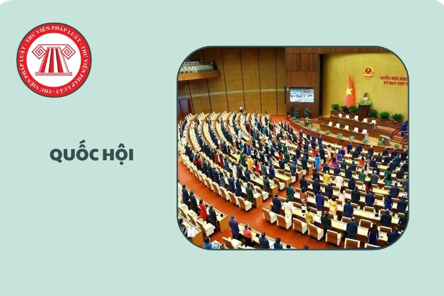 Hỏi đáp Pháp luật