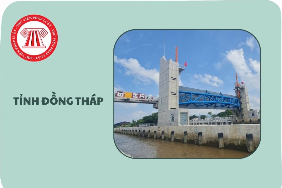 Xã Tân Hương tỉnh Đồng Tháp gồm các xã nào hình thành từ 1/7/2025?