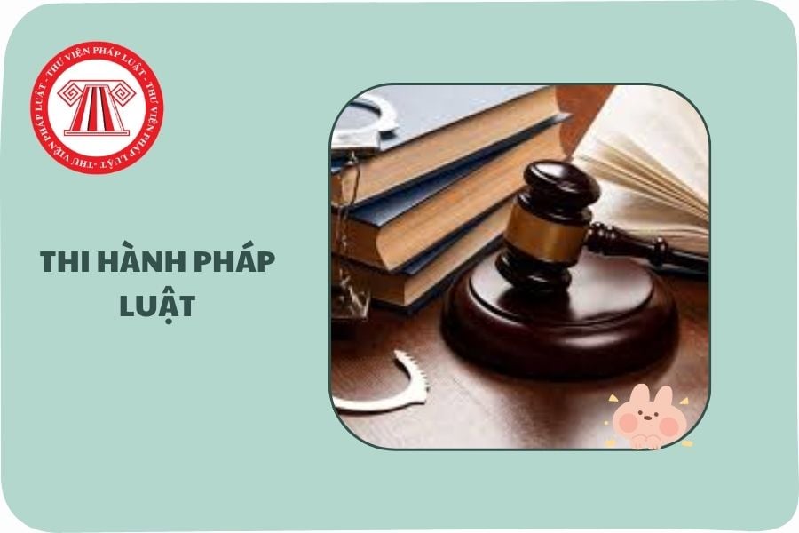 Hỏi đáp Pháp luật